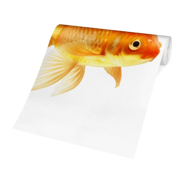 Papel de pared blanco Ms Goldfish