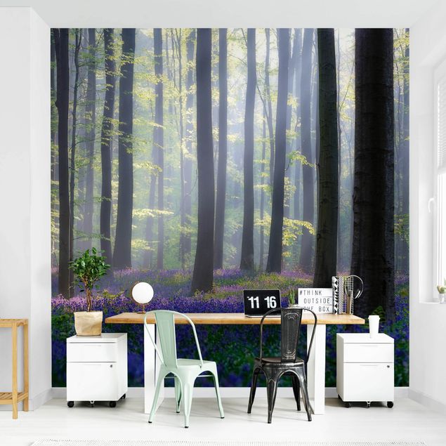 Papel pared paisaje Spring Day In The Forest