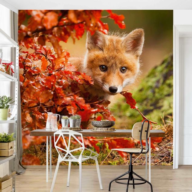 Decoración cocina Fox In Autumn