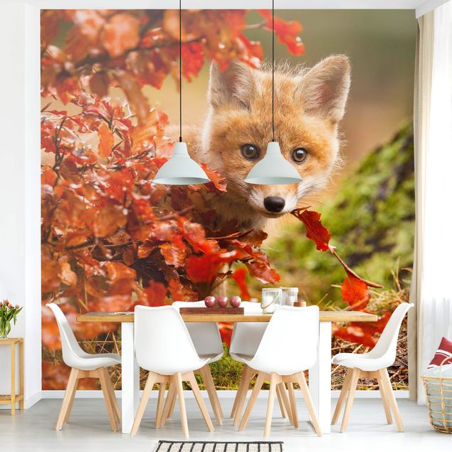 Papeles pintados modernos Fox In Autumn