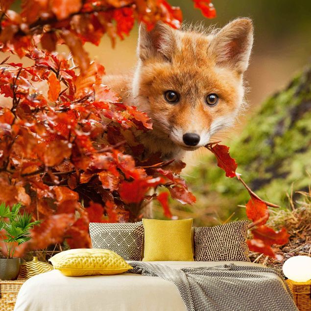 Papel pintado paisajes naturales Fox In Autumn