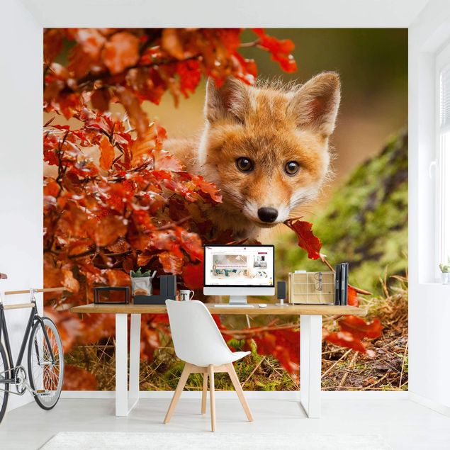 Papel pintado bosque infantil Fox In Autumn