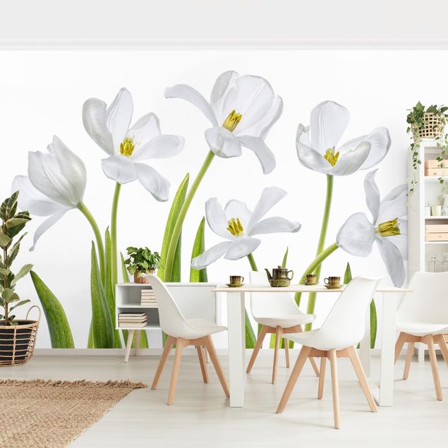Papel pintado flores Five White Tulips