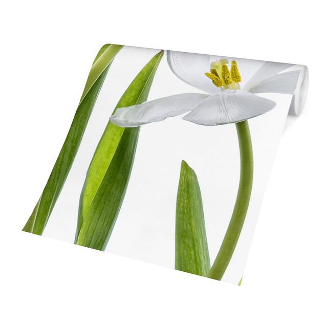Papel blanco pared Five White Tulips
