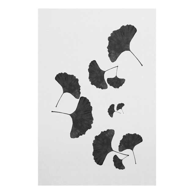 Cuadros en blanco y negro Ginkgo Composition In Black And White