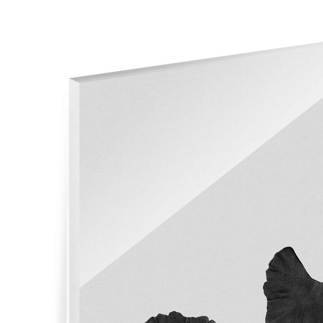 Tableros magnéticos de vidrio Ginkgo Composition In Black And White