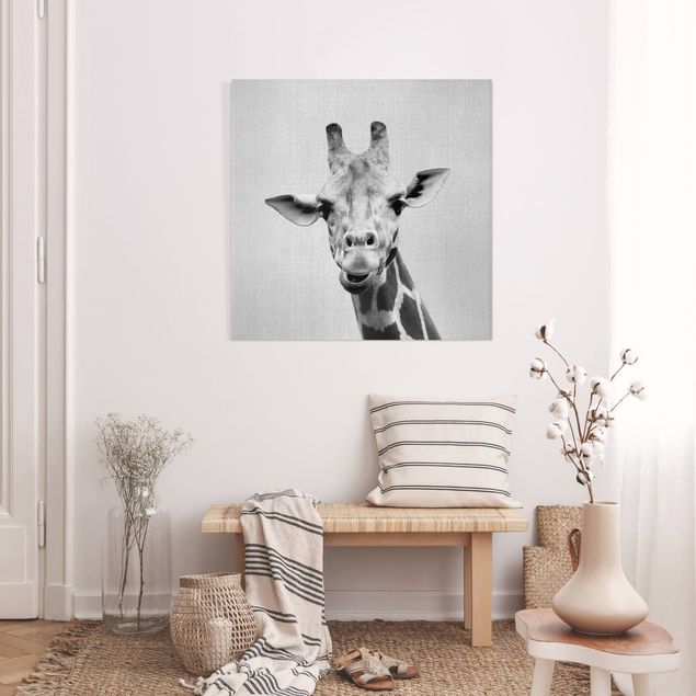 Lienzos de jirafas Giraffe Gundel Black And White