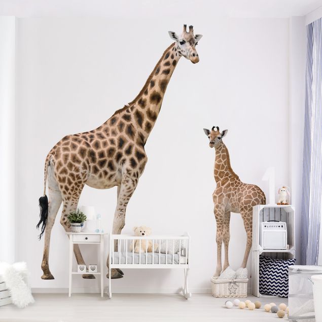 Papel pintado moderno Giraffe Mother And Child