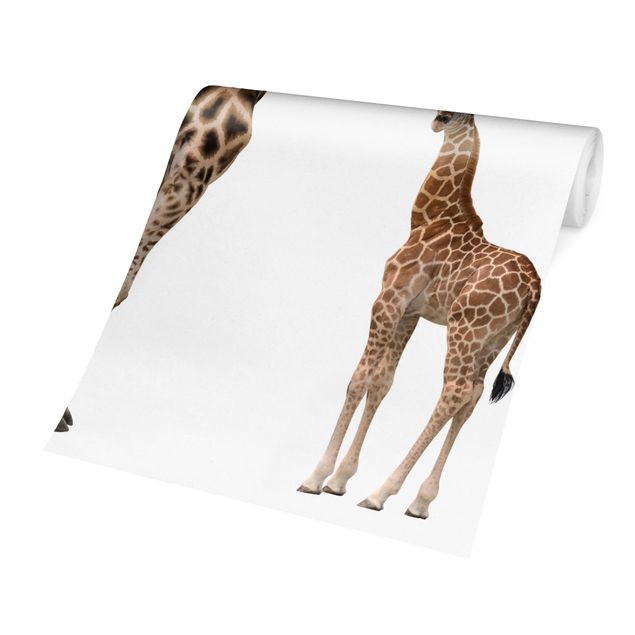 Papel pintado Giraffe Mother And Child