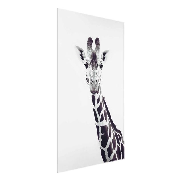 Cuadros de cristal animales Giraffe Portrait In Black And White