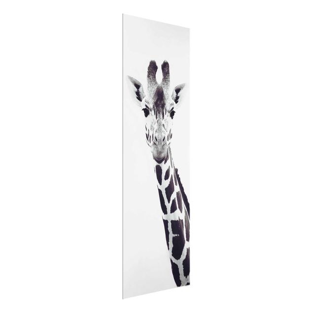 Cuadros de cristal animales Giraffe Portrait In Black And White