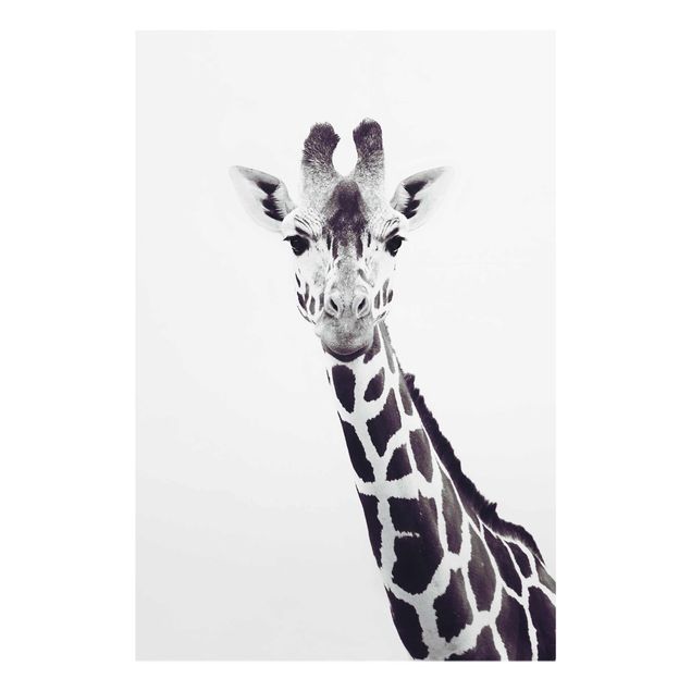 Cuadros modernos Giraffe Portrait In Black And White
