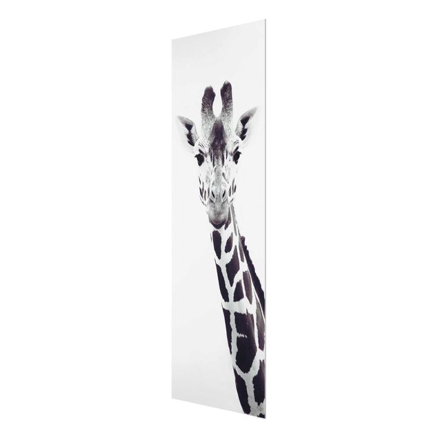 Cuadros a blanco y negro Giraffe Portrait In Black And White