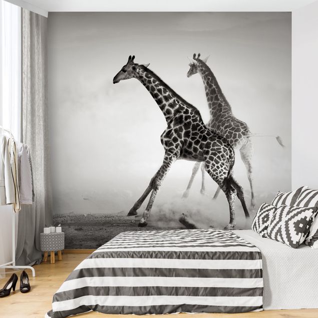 Papel pintado moderno Giraffe Hunt