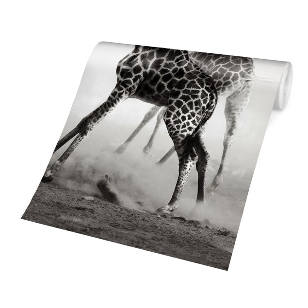 Papel pintado blanco y negro Giraffe Hunt