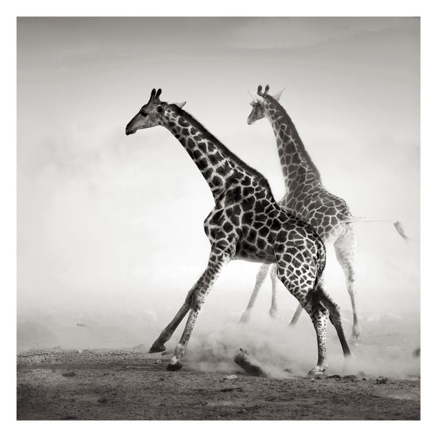 Papel pintado animales Giraffe Hunt