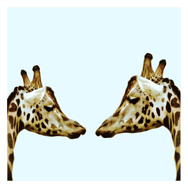 Papel de pared Giraffes In Love