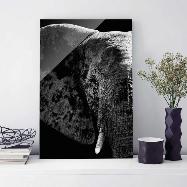 Cuadro elefante colores African Elephant black & white
