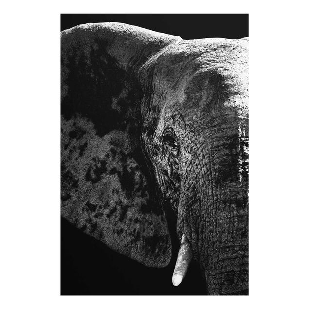 Cuadros africanos modernos African Elephant black & white