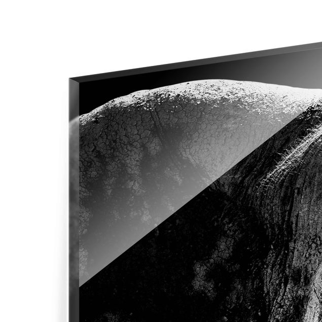 Tableros magnéticos de vidrio African Elephant black & white