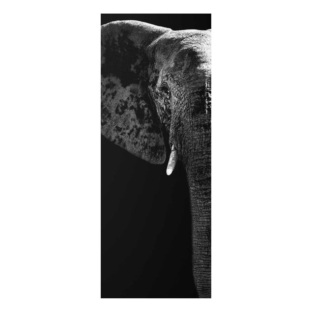 Cuadros africanos African Elephant black & white