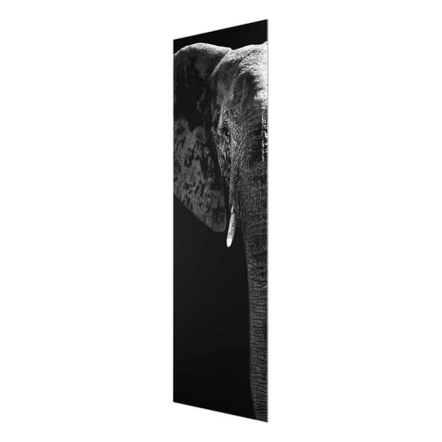 Cuadros en blanco y negro African Elephant black & white
