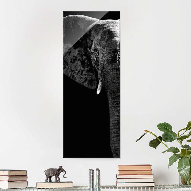 Cuadros de elefantes African Elephant black & white