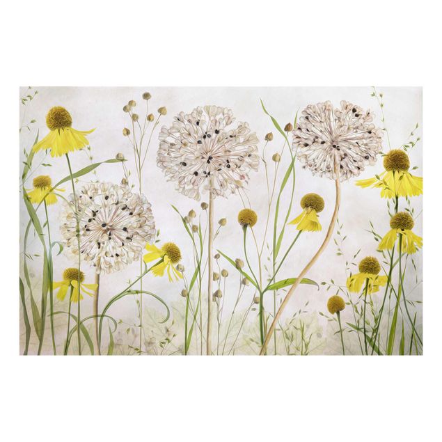 Cuadros de flores modernos Allium And Helenium Illustration