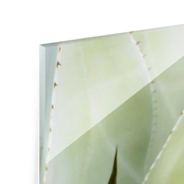 Tableros magnéticos de vidrio Aloe