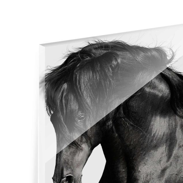Tableros magnéticos de vidrio Arabian Stallion