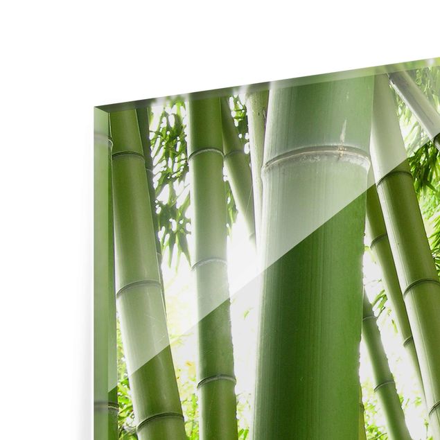 Cuadros decorativos Bamboo Trees No.1