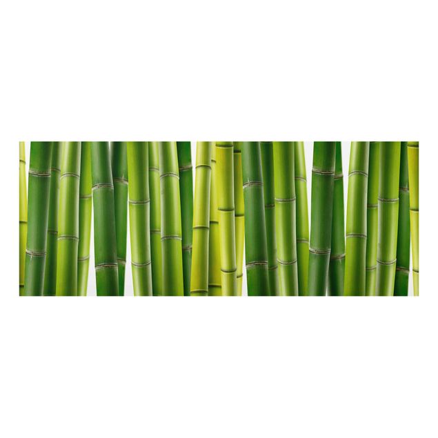 Cuadros de cristal flores Bamboo Plants