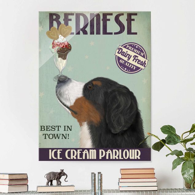 Cuadros con perritos Bernese Mountain Dog With Ice