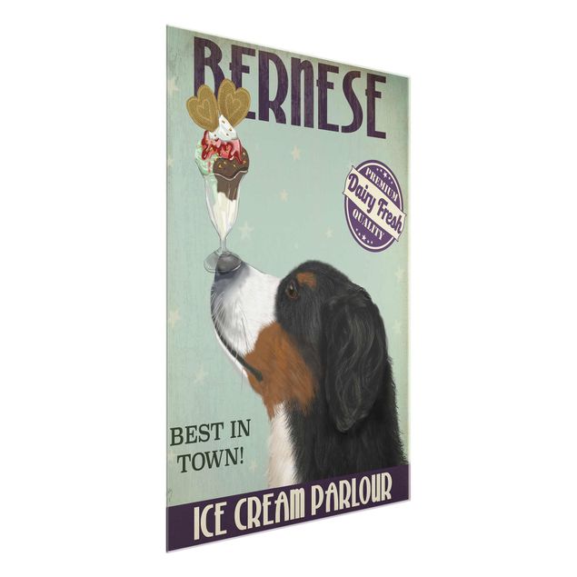 Cuadros decorativos modernos Bernese Mountain Dog With Ice