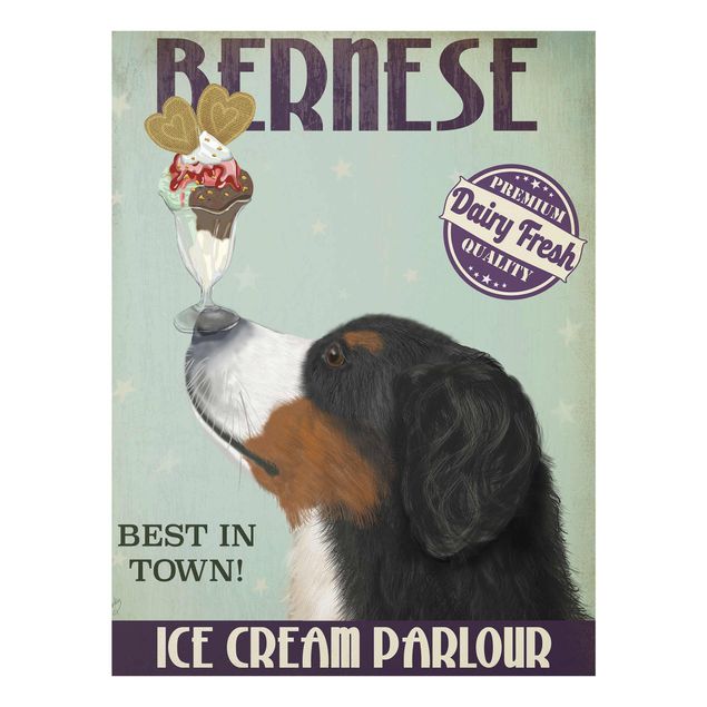 Cuadros animales Bernese Mountain Dog With Ice