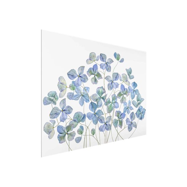 Cuadros de flores modernos Blue Hydrangea Flowers