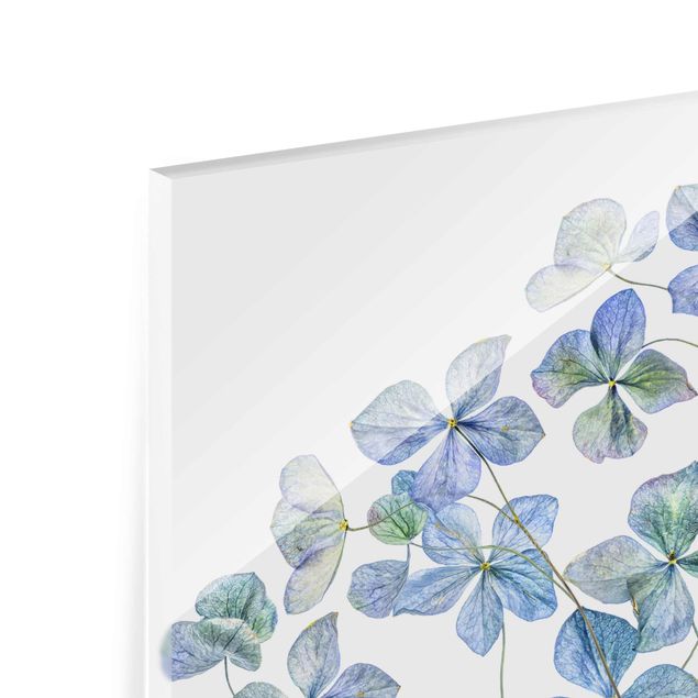Tableros magnéticos de vidrio Blue Hydrangea Flowers