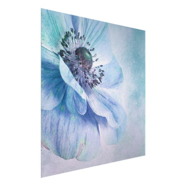 Cuadros de flores Flower In Turquoise