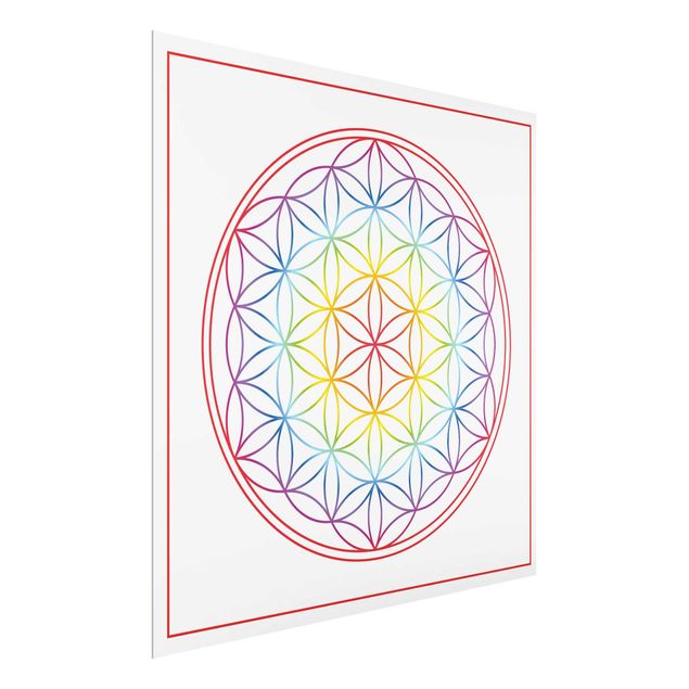 Cuadros zen Flower of life Colourful