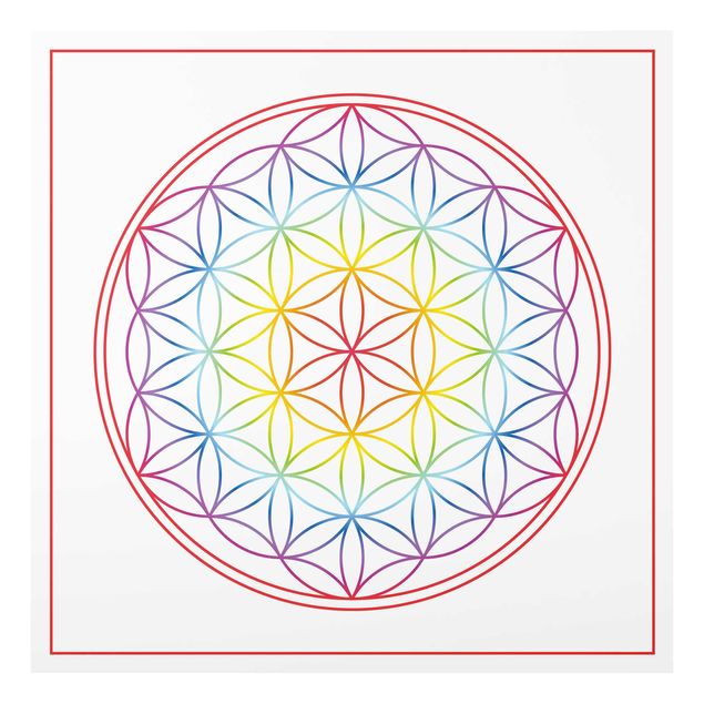 Cuadros Flower of life Colourful