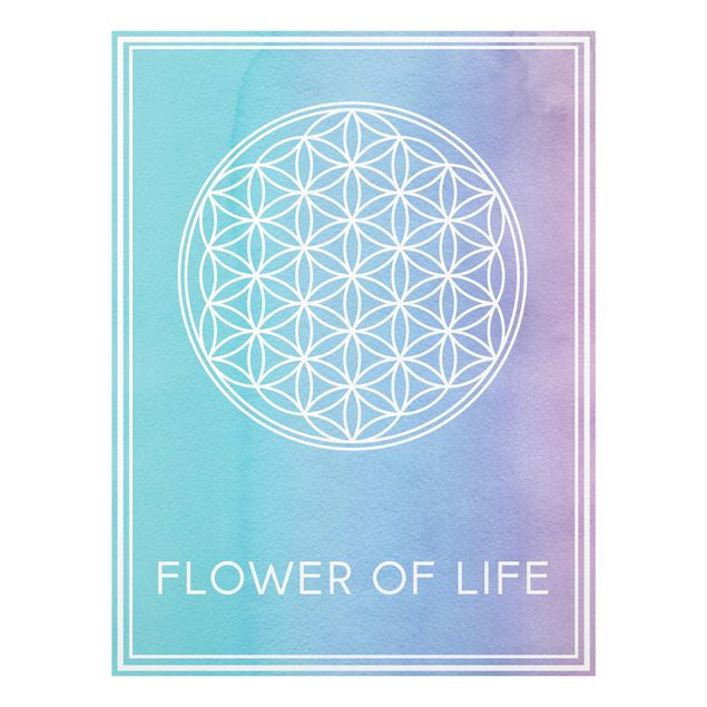 Tableros magnéticos de vidrio Flower of life pastel watercolour