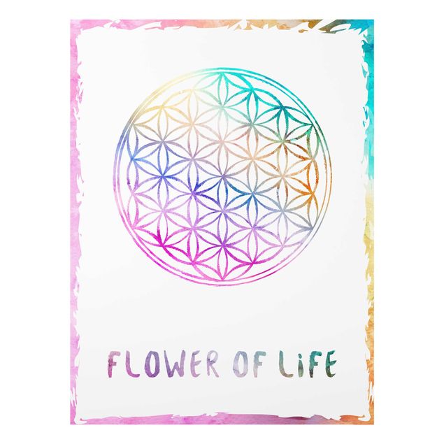 Cuadros modernos Flower of life watercolour