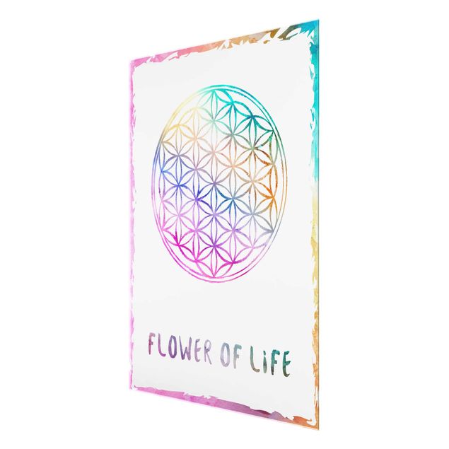 Tableros magnéticos de vidrio Flower of life watercolour