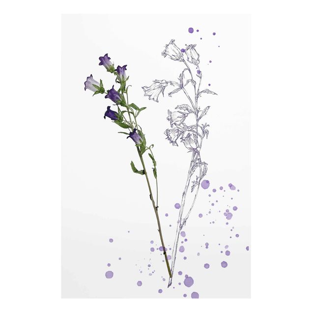 Cuadros Botanical Watercolour - Bellflower
