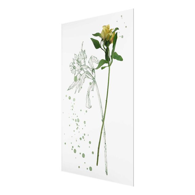 Tableros magnéticos de vidrio Botanical Watercolour - Lily