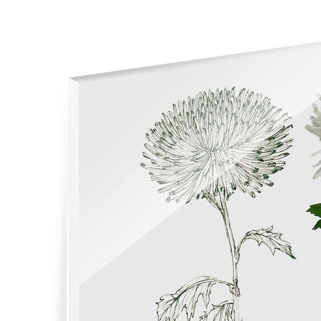 Tableros magnéticos de vidrio Botanical Watercolour - Dandelion