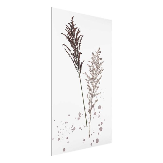 Cuadros de flores modernos Botanical Watercolour - Fescue Reed