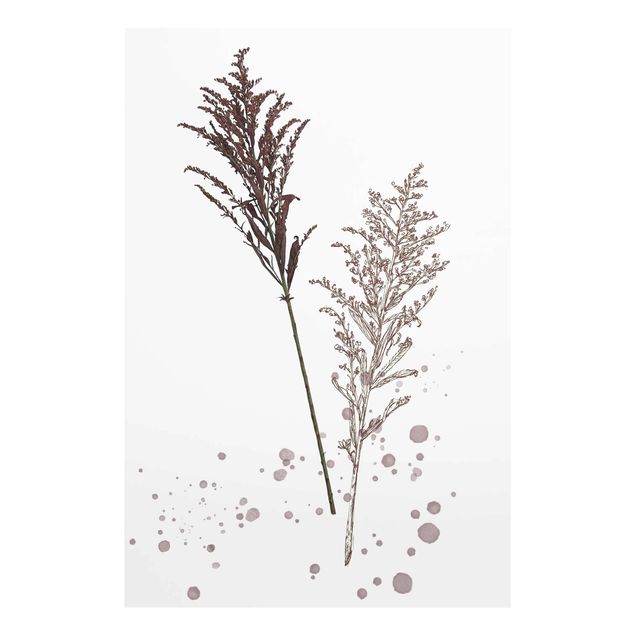 Cuadros modernos Botanical Watercolour - Fescue Reed
