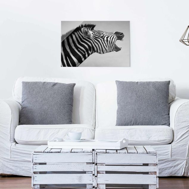 Cuadros de cebras Roaring Zebra ll