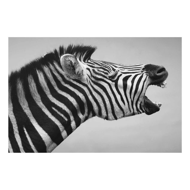 Cuadros africanos Roaring Zebra ll